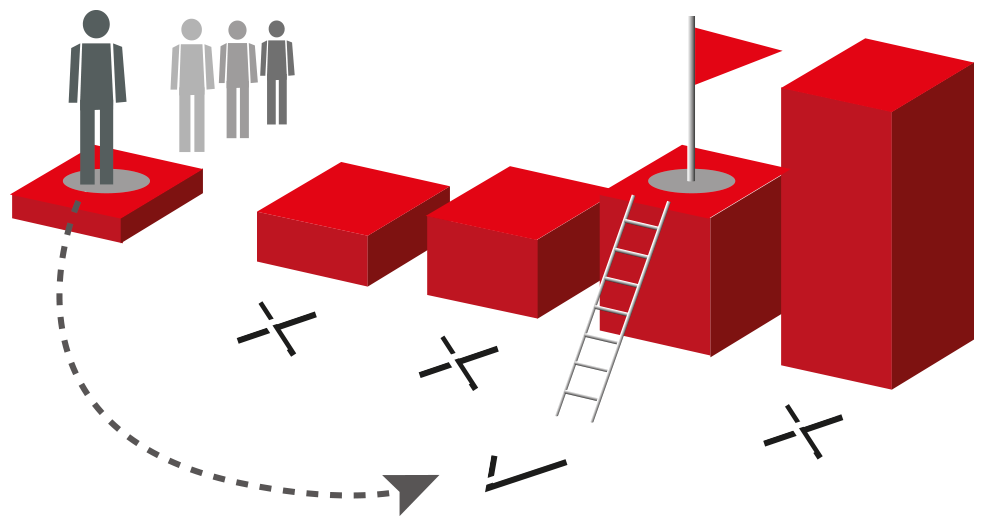 ML: desarrollo profesional
